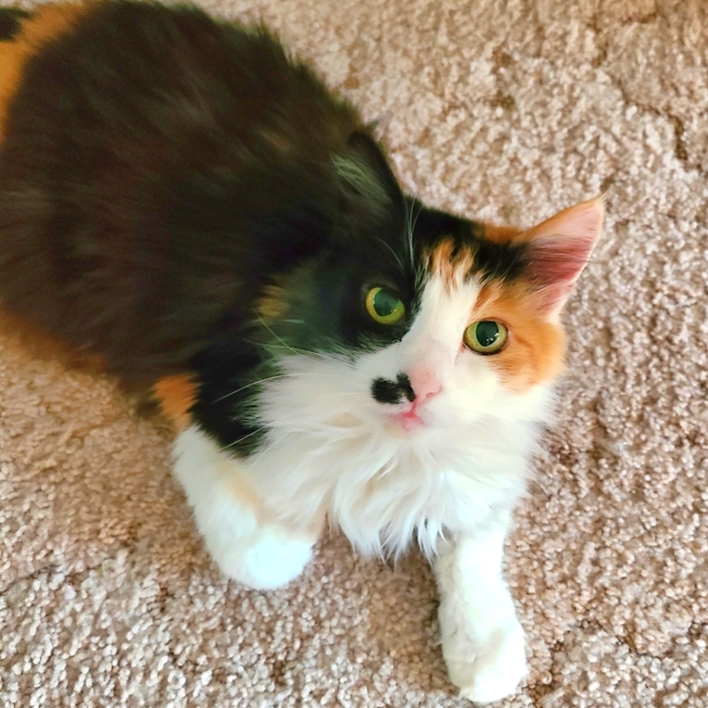 DO I HAVE A BUG ON MY NOSE? - Picture 1 of 3